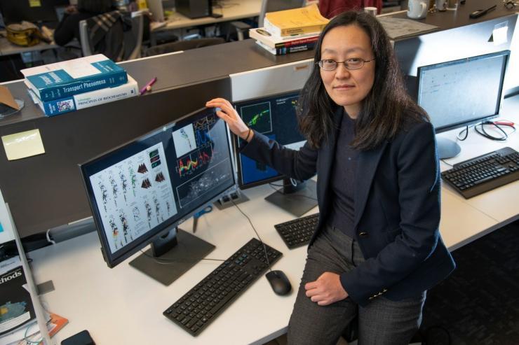 Georgia Tech Professor Hang Lu